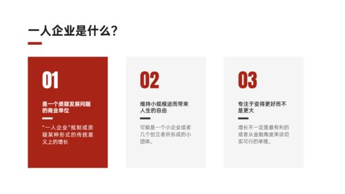 馬蜂咨詢品牌課程 一人企業 一個人也能賺錢的新商業模式